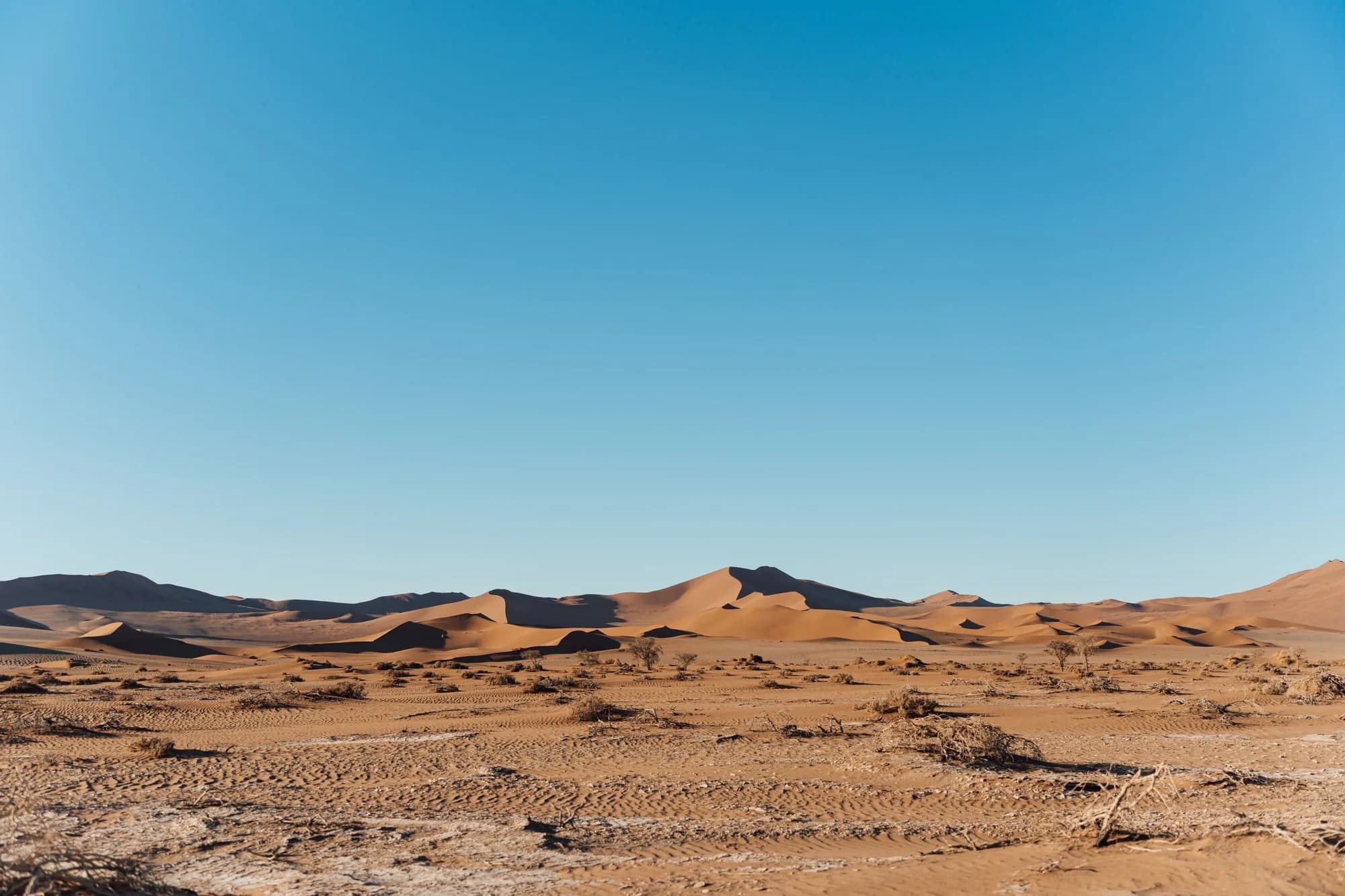 Kalahari desert texture