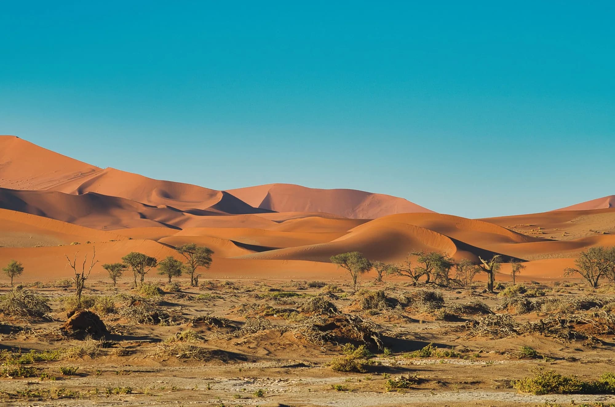 Sossusvlei landscape in Namib-Naukluft